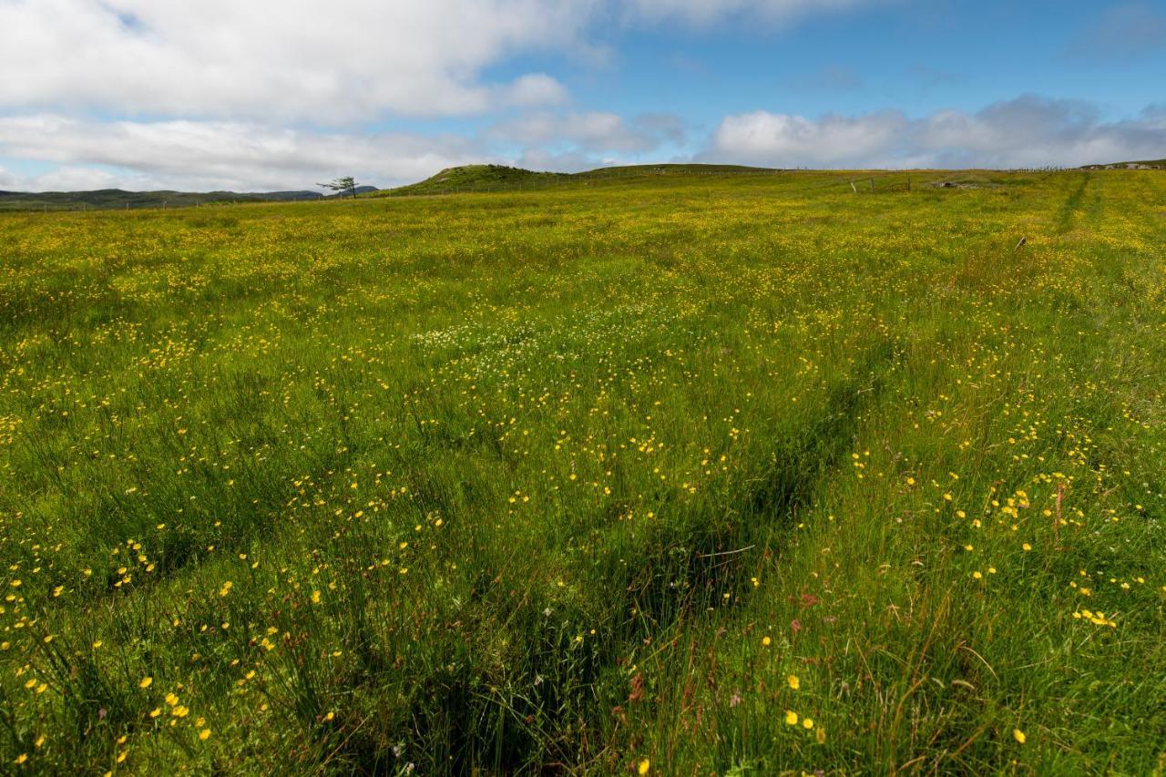21 Callanish Luxury Pod Bagian luar foto