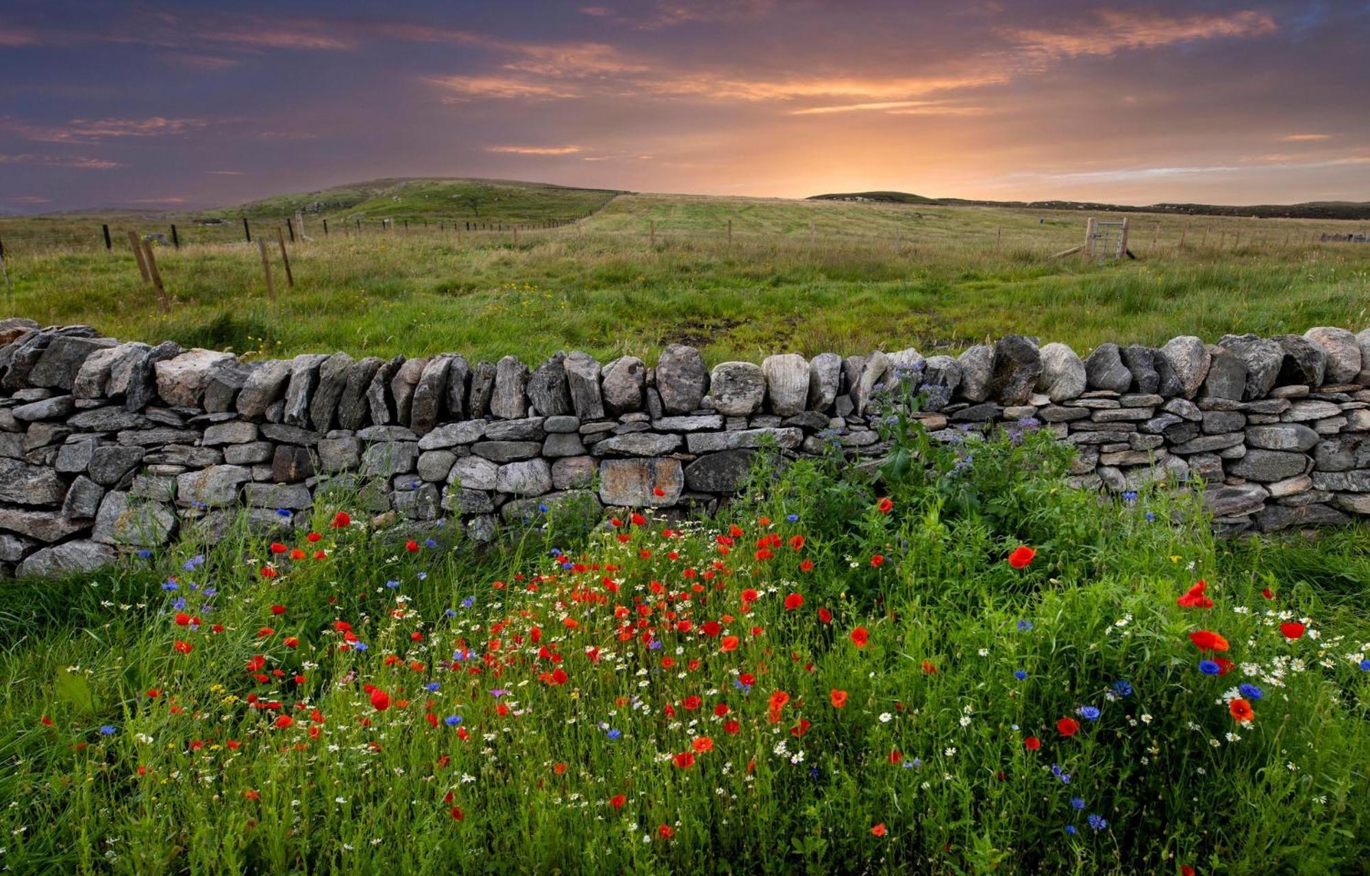 21 Callanish Luxury Pod Bagian luar foto